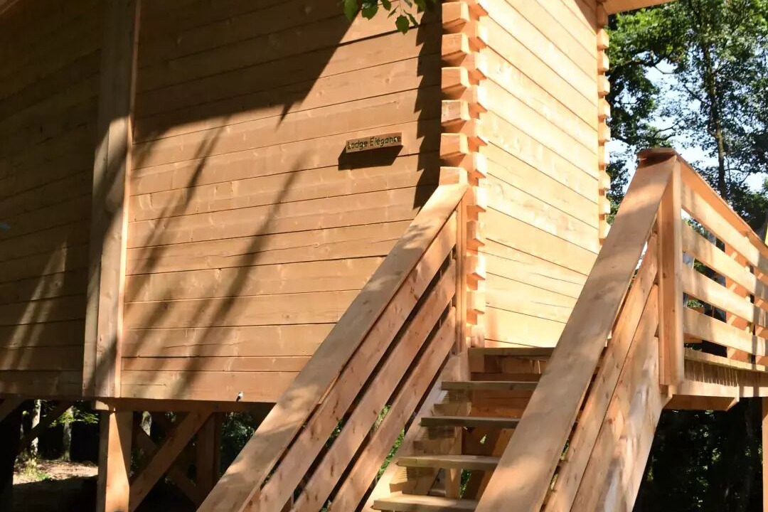 Photo of Outdoor in Salles-en-Toulon
