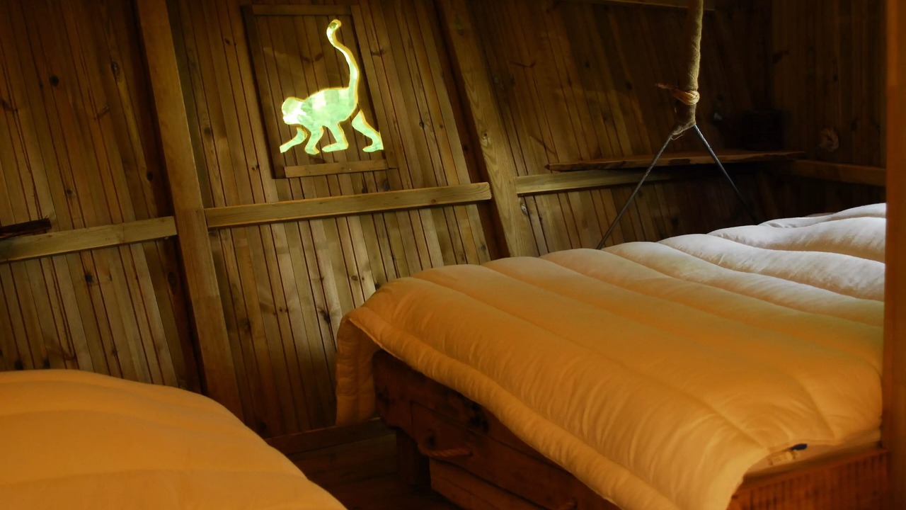 Photo of Bedroom in Salles-en-Toulon