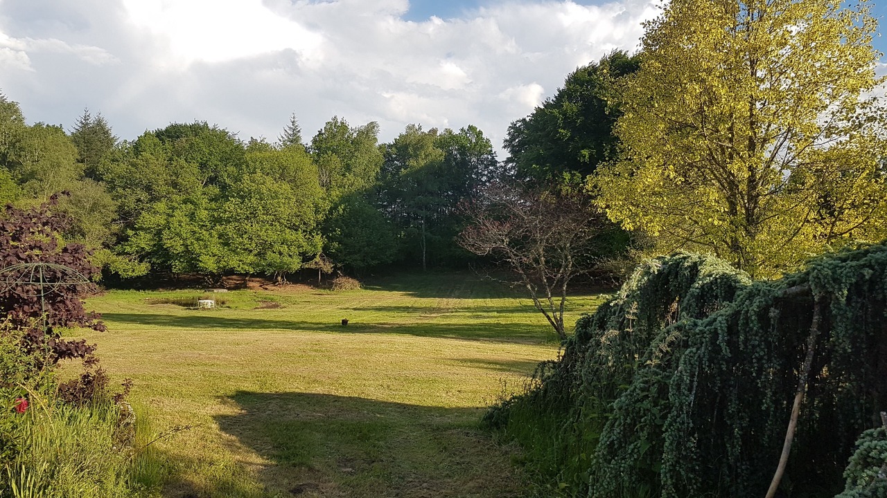 Photo of Others in Eyrein