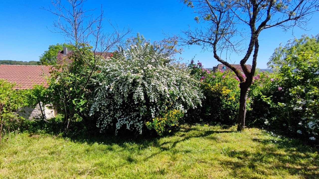 Photo of Outdoor in Saint-Rabier