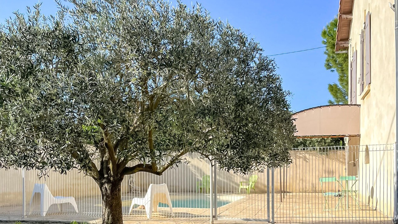 Photo of Others in Rognonas