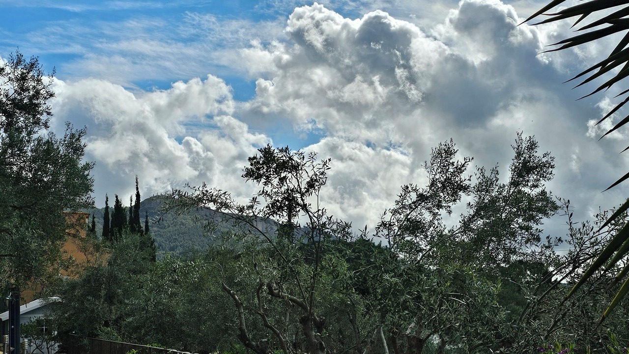Photo of Outdoor in Le Revest-les-Eaux