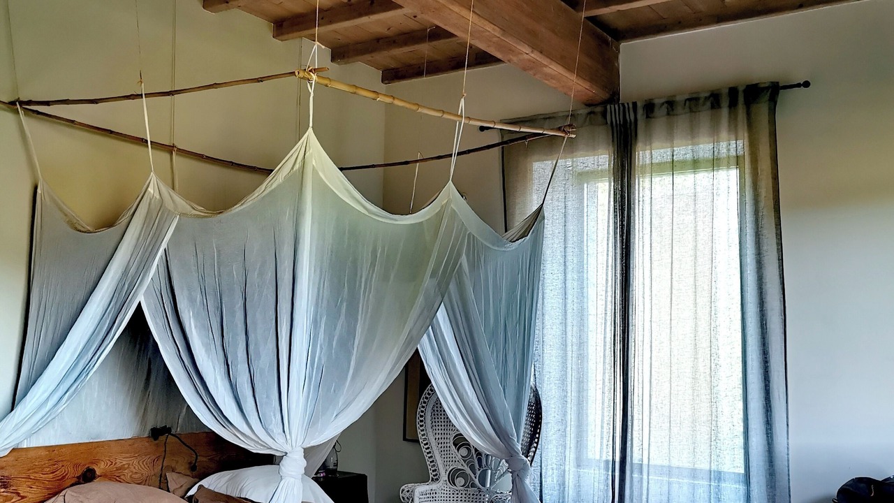Photo of Bedroom in Haux