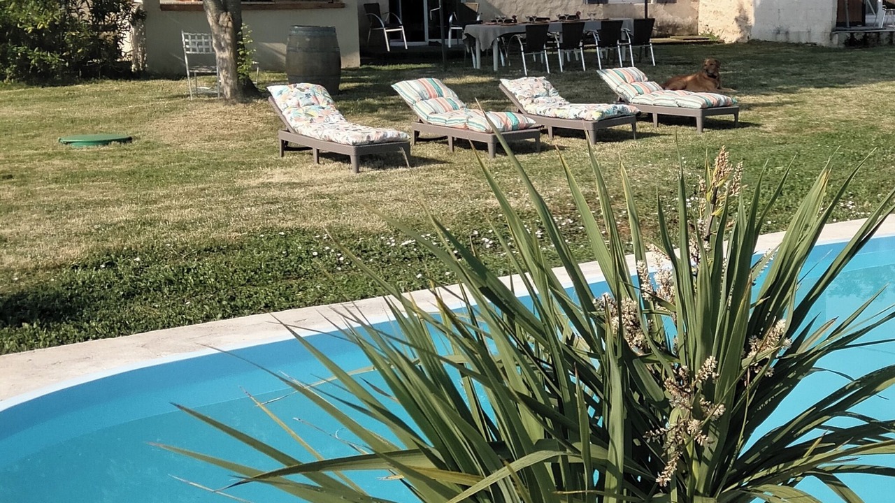 Photo of Outdoor in Cartelegue