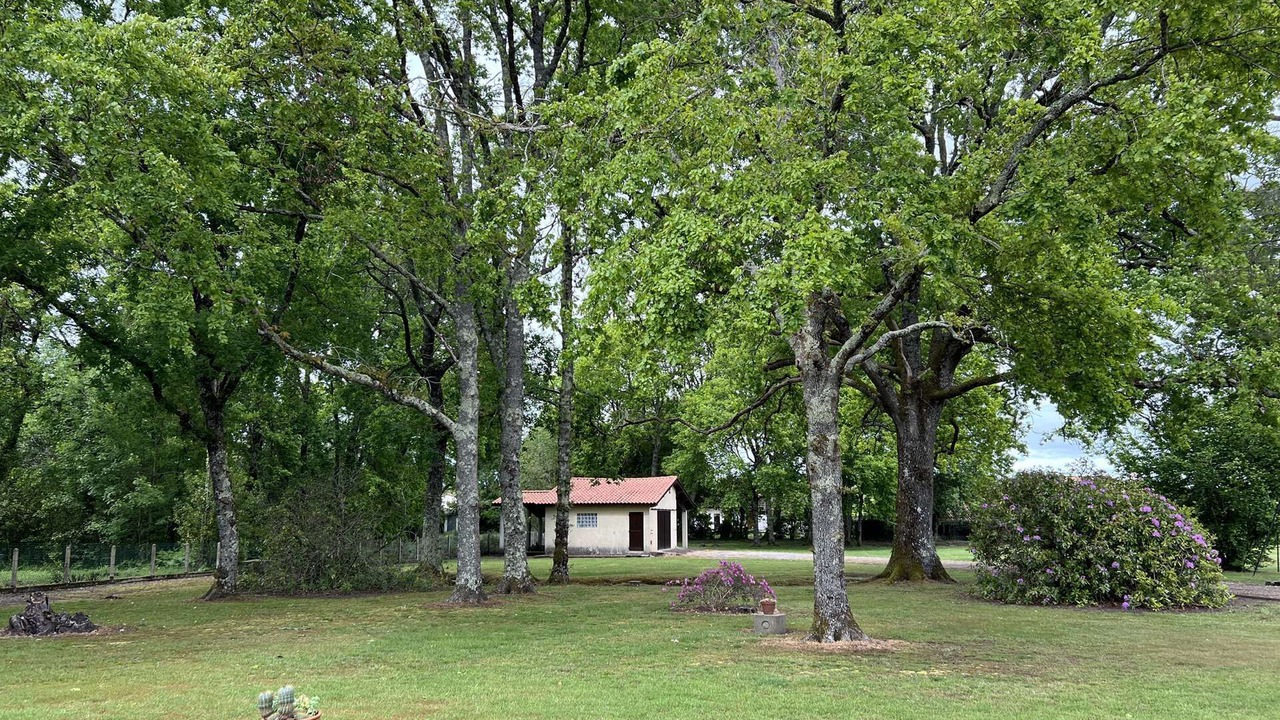 Photo of Outdoor in Saint-Vivien-de-Medoc