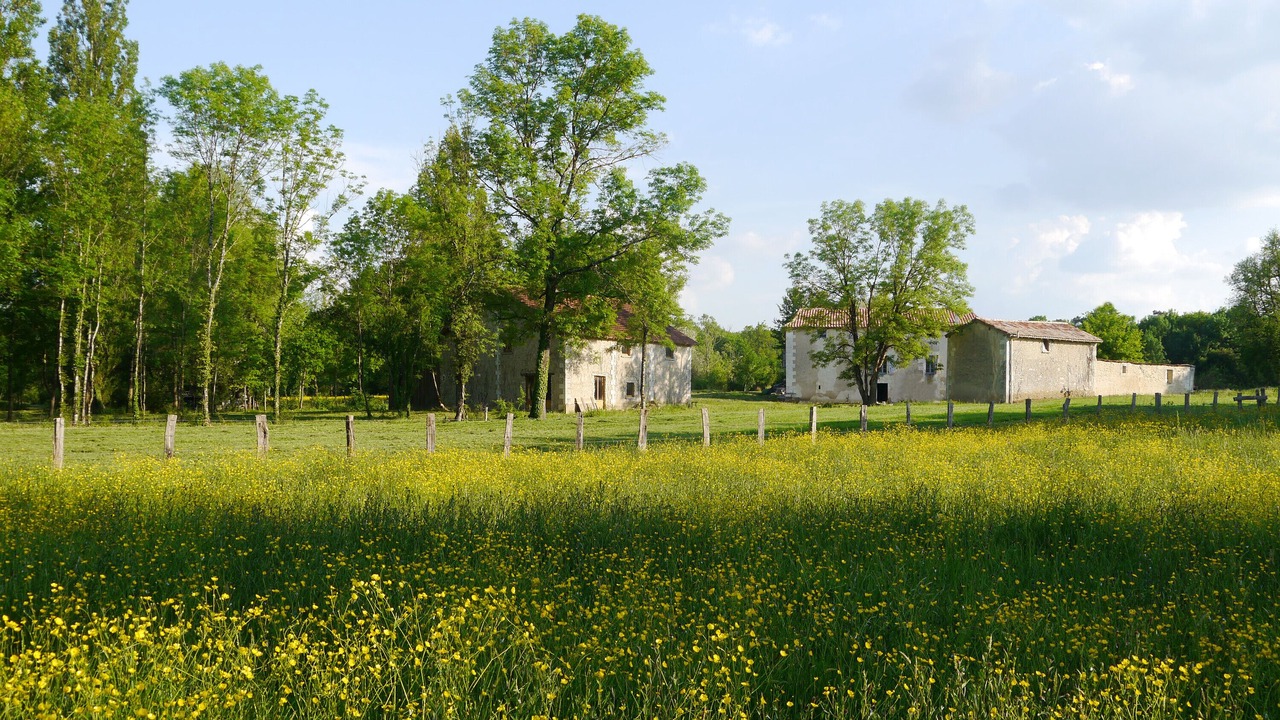 Photo of Others in Chassaignes