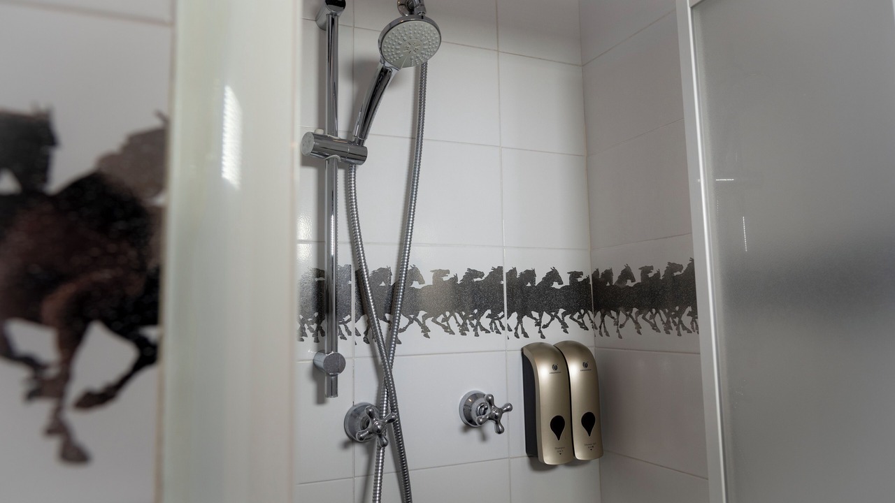 Photo of Bathroom in Siena