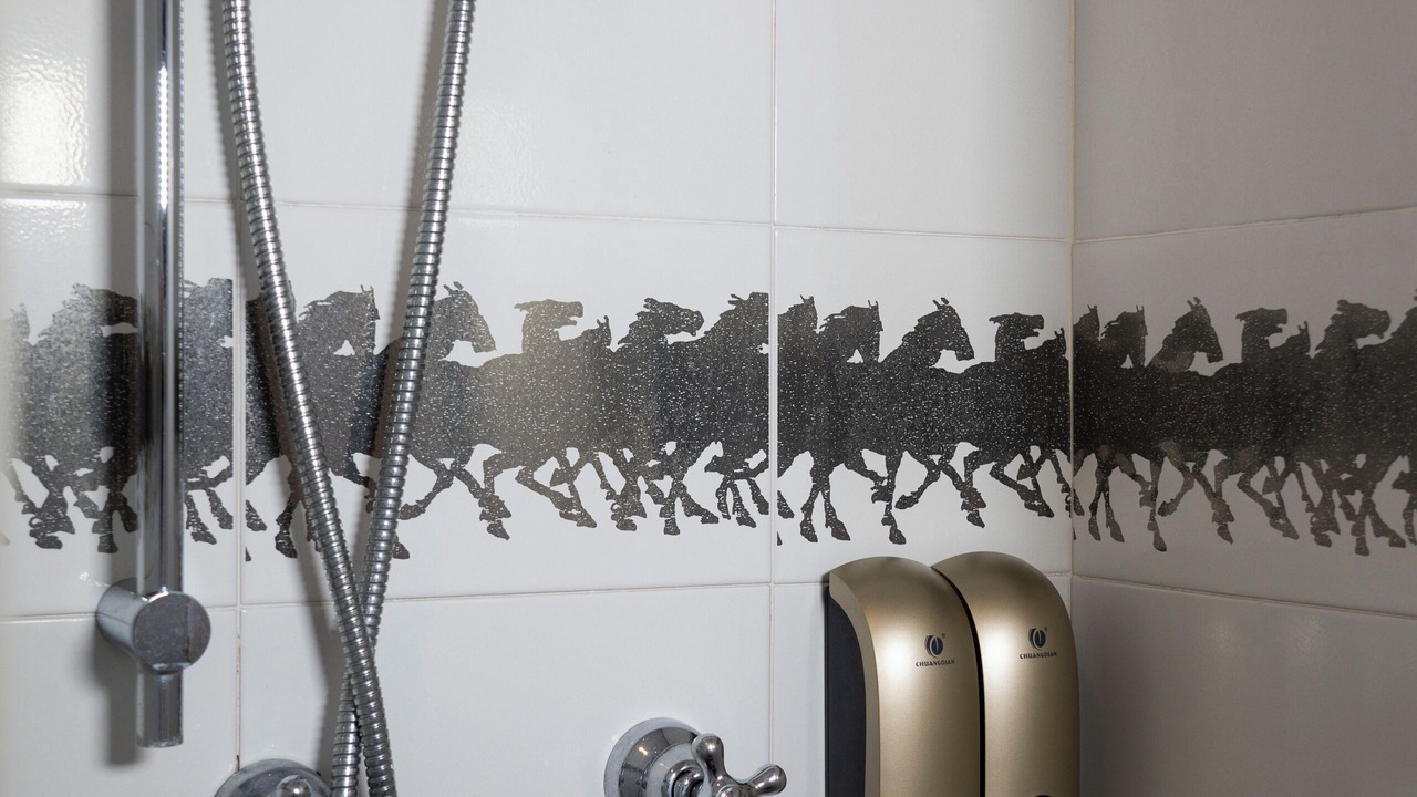 Photo of Bathroom in Siena