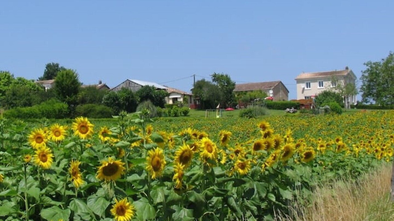 Photo of Others in Chatenet