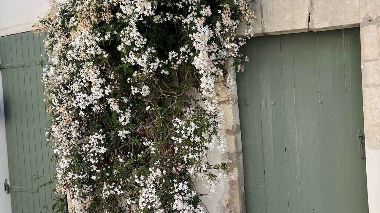 Photo of Outdoor in La Rochelle