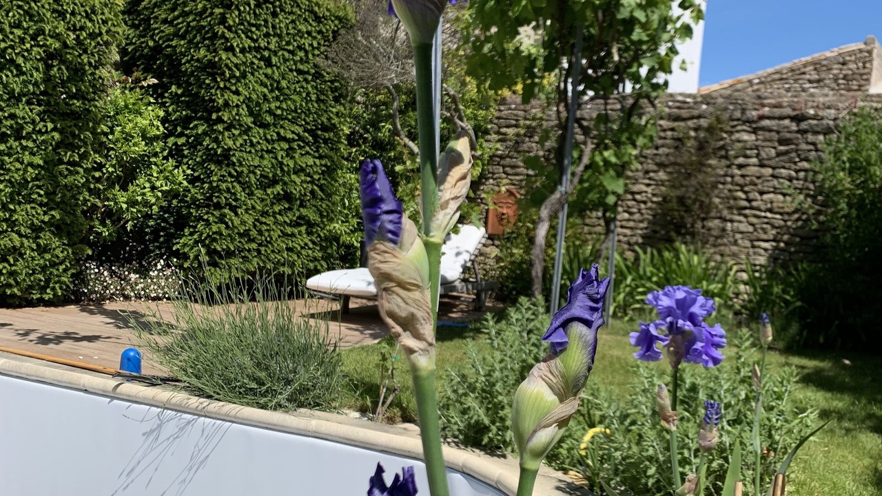 Photo of Outdoor in Les Portes-en-Re