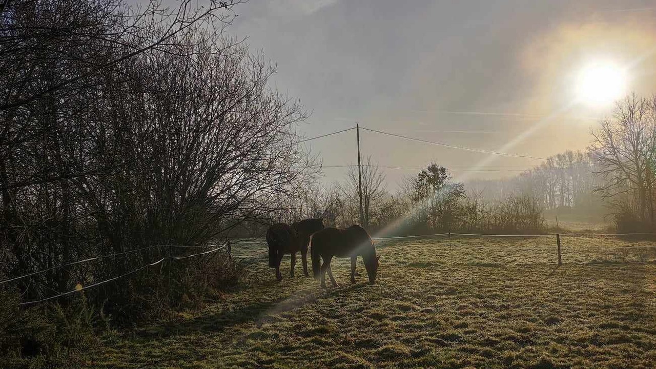 Photo of Outdoor in Couze-et-Saint-Front