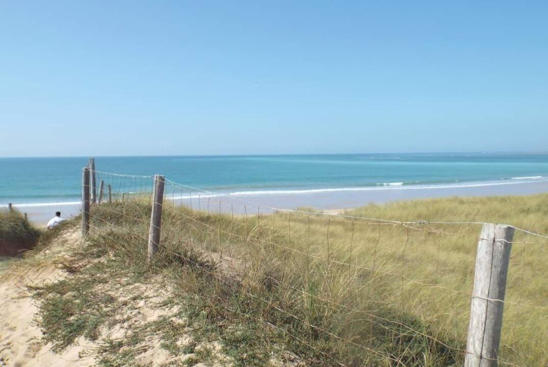 Photo of Others in Saint-Denis-d'Oleron