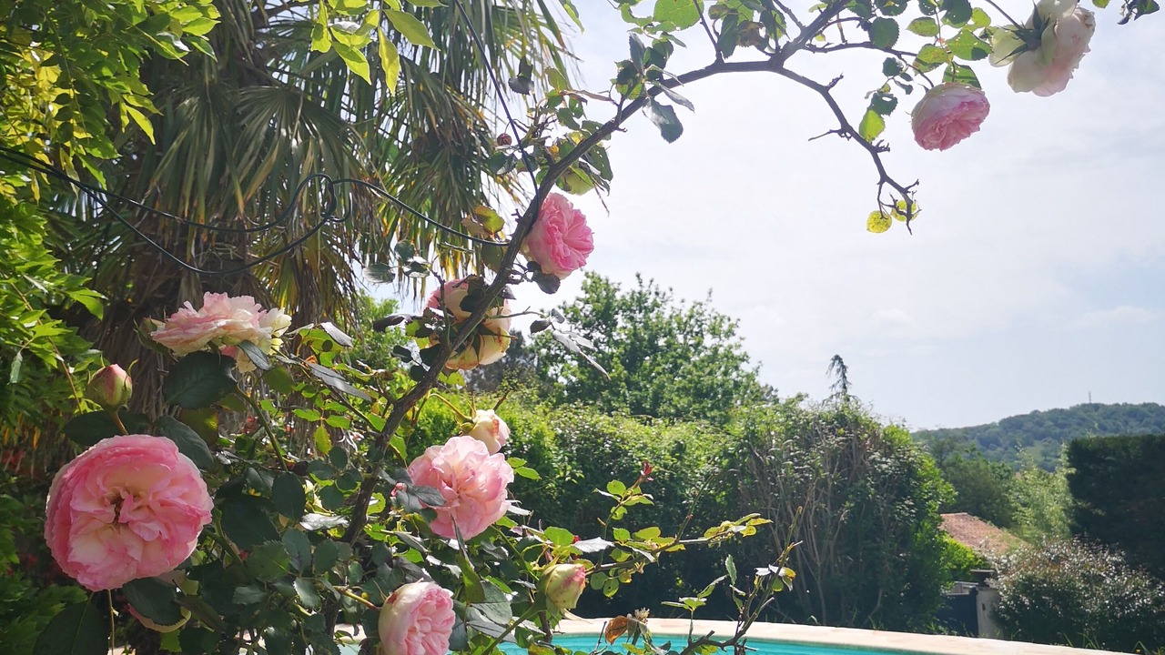 Photo of Outdoor in Arcangues
