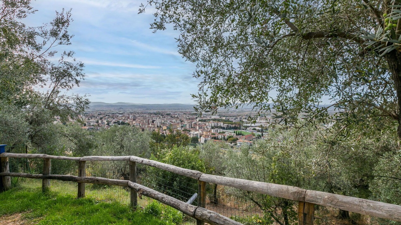 Photo of Others in Sesto Fiorentino