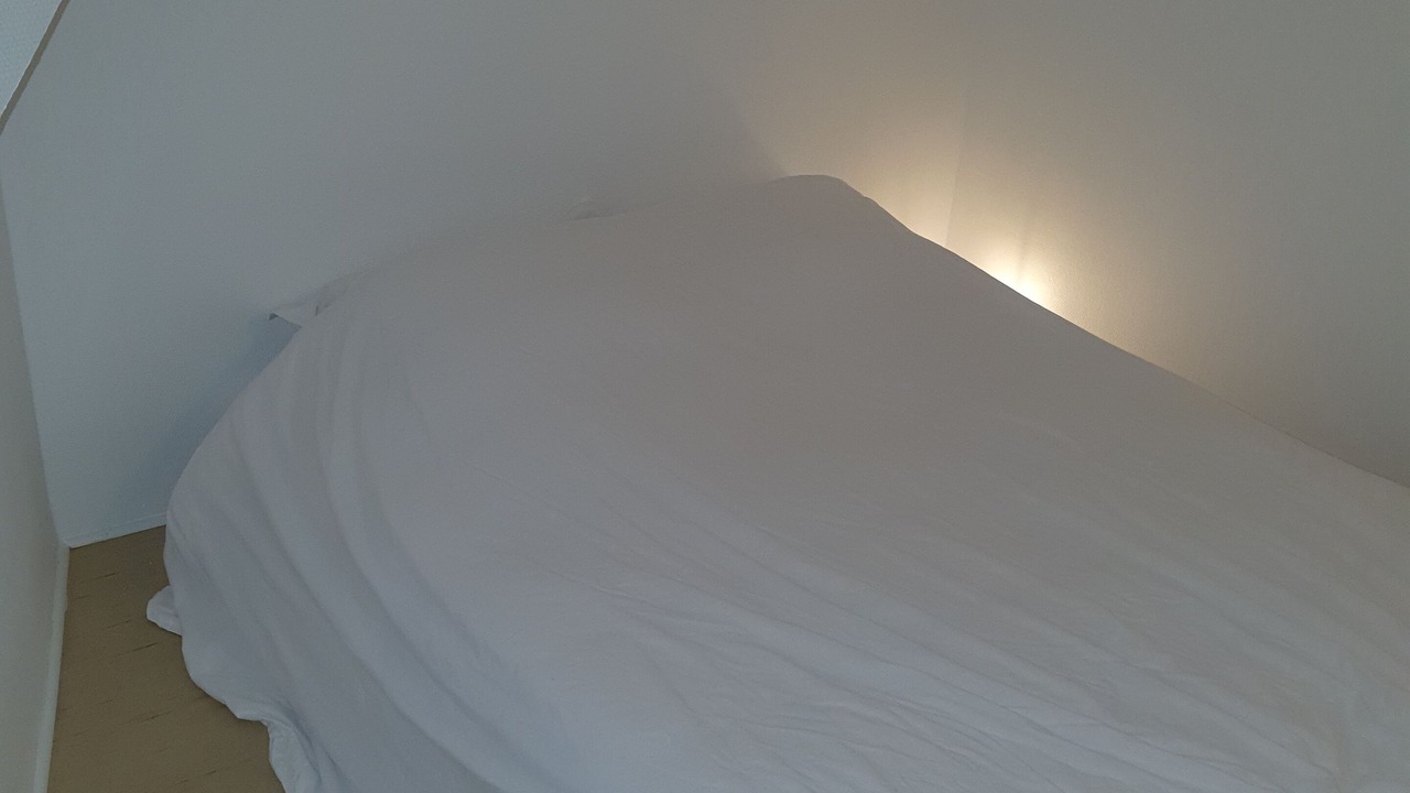 Photo of Bedroom in Agen