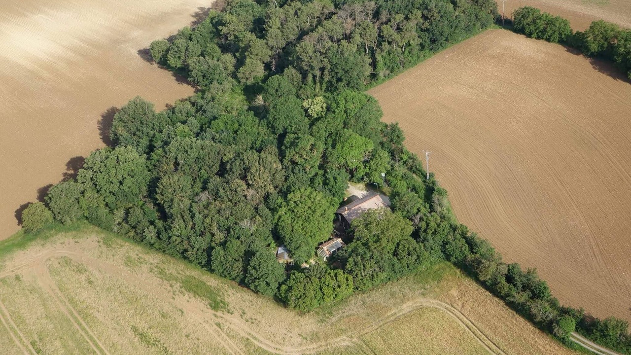Photo of Outdoor in Archigny