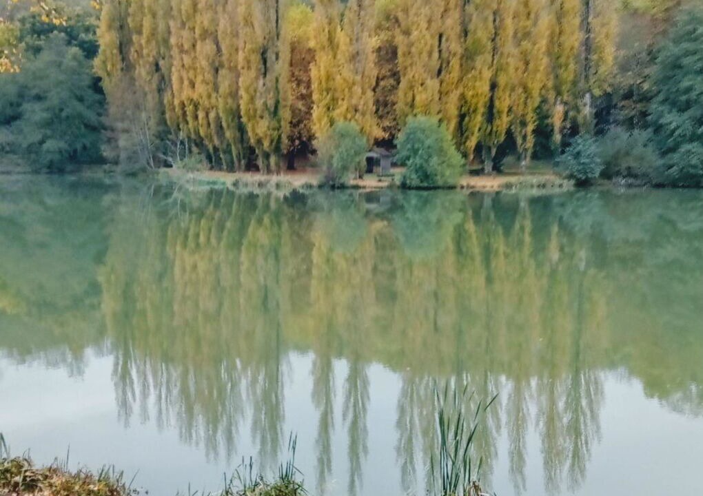 Photo of Others in Prailles