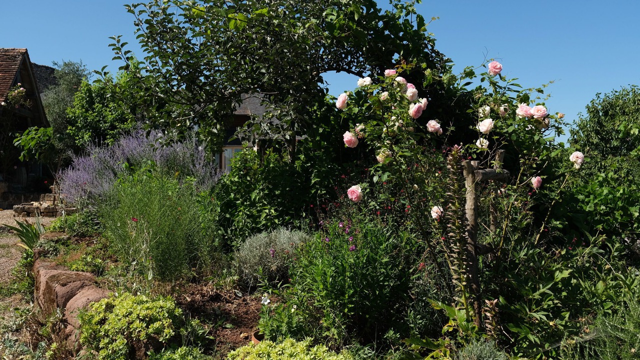 Photo of Outdoor in Saint-Cyr-la-Roche