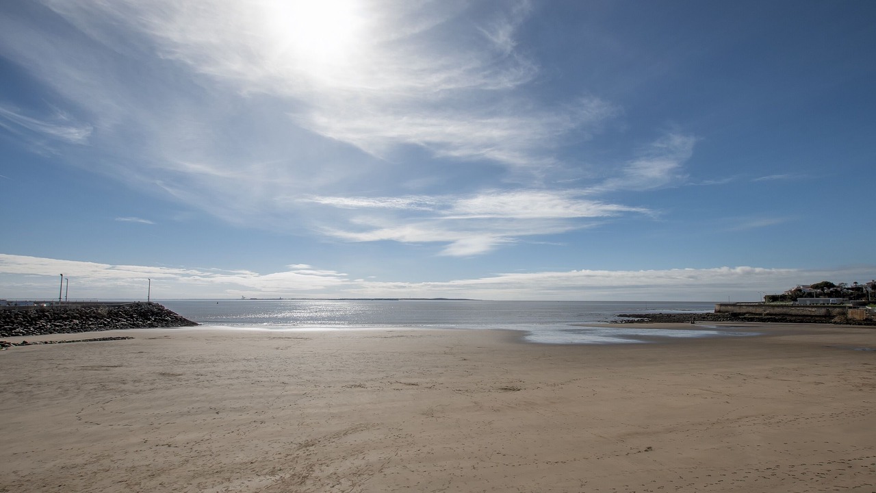 Photo of Others in Royan