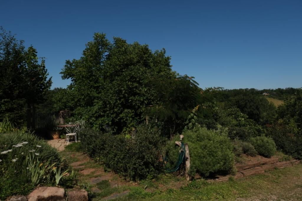 Photo of Outdoor in Saint-Cyr-la-Roche