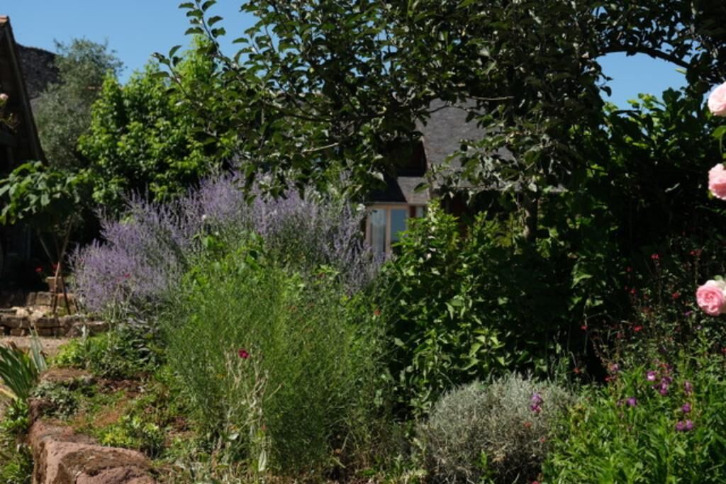 Photo of Outdoor in Saint-Cyr-la-Roche