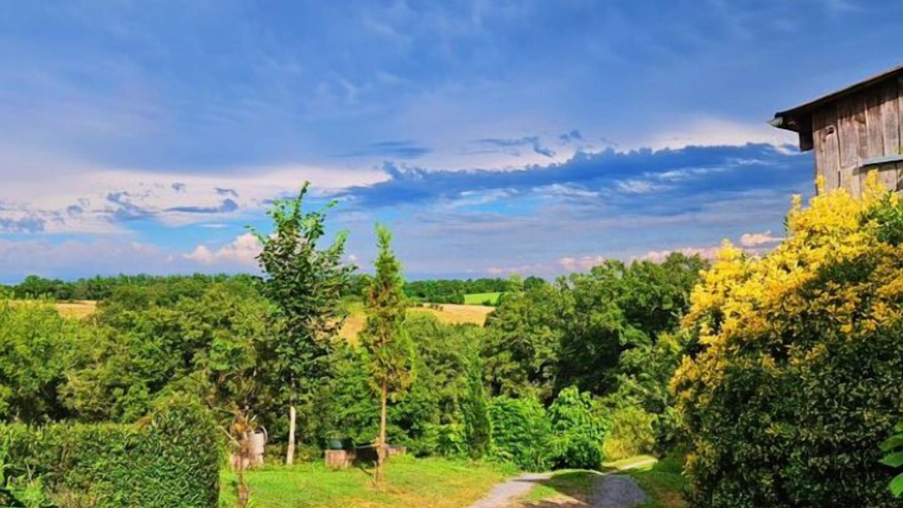 Photo of Outdoor in Saint-Cyr-la-Roche