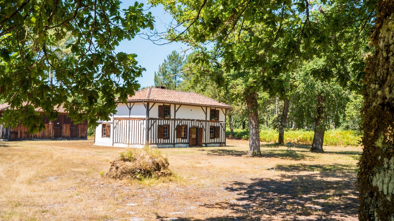 Photo of Outdoor in Sabres
