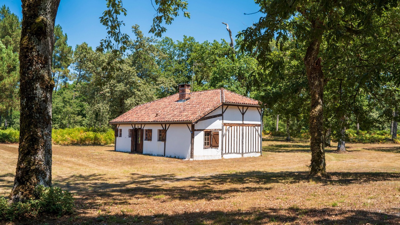 Photo of Outdoor in Sabres