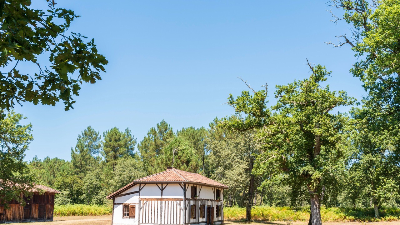 Photo of Outdoor in Sabres
