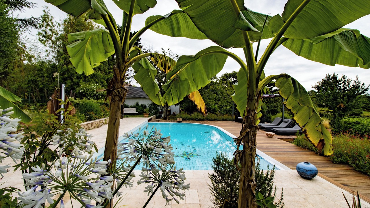 Photo of Outdoor in Saint-Romain-la-Virvee
