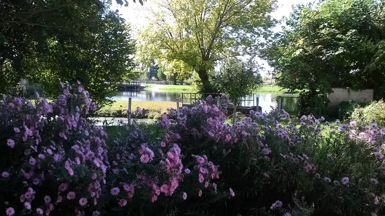 Photo of Outdoor in Neuvic
