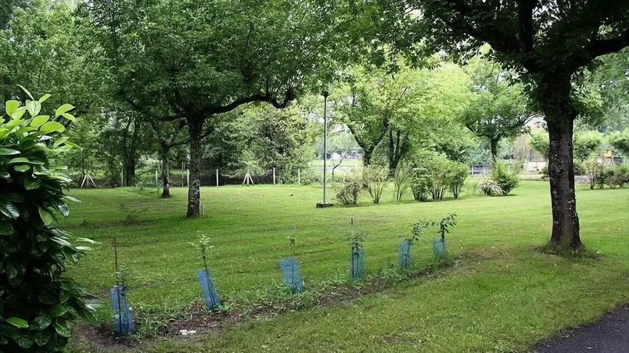 Photo of Outdoor in Neuvic