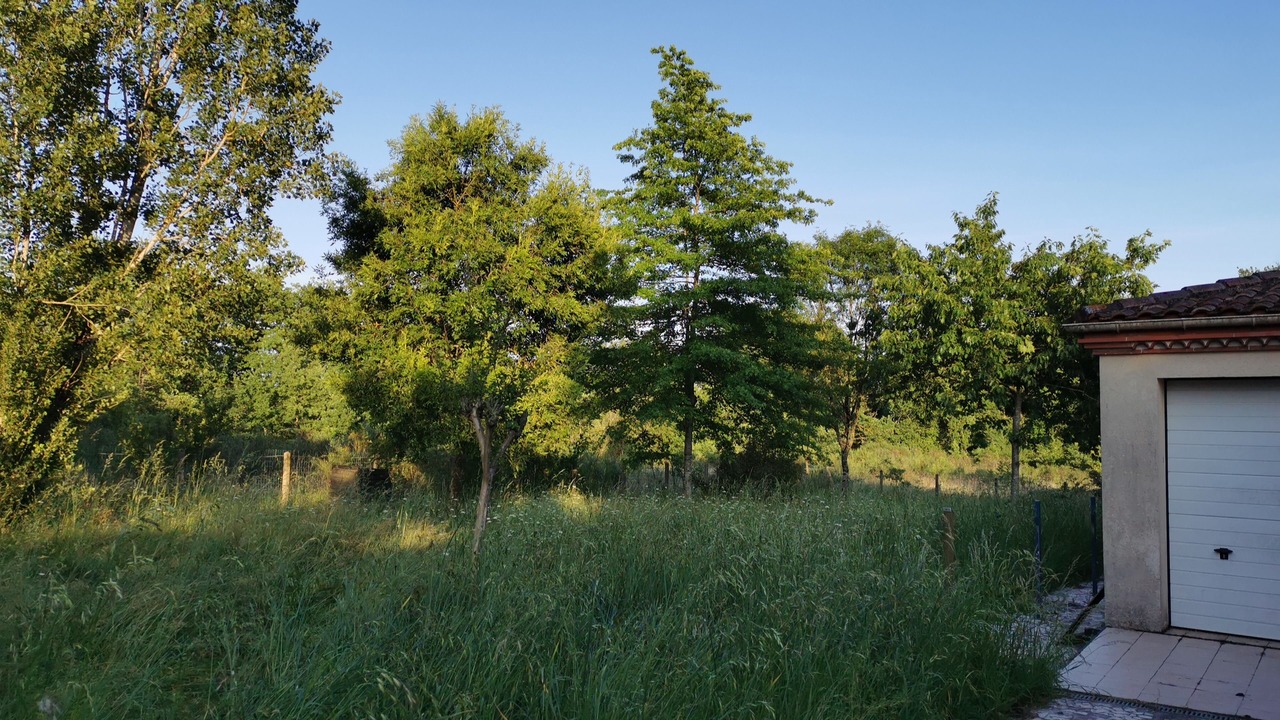Photo of Outdoor in Mongaillard