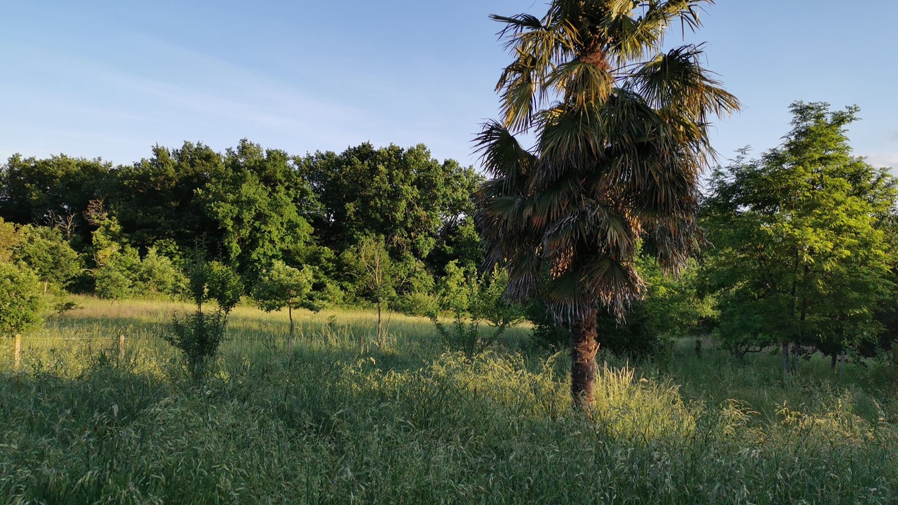 Photo of Others in Mongaillard