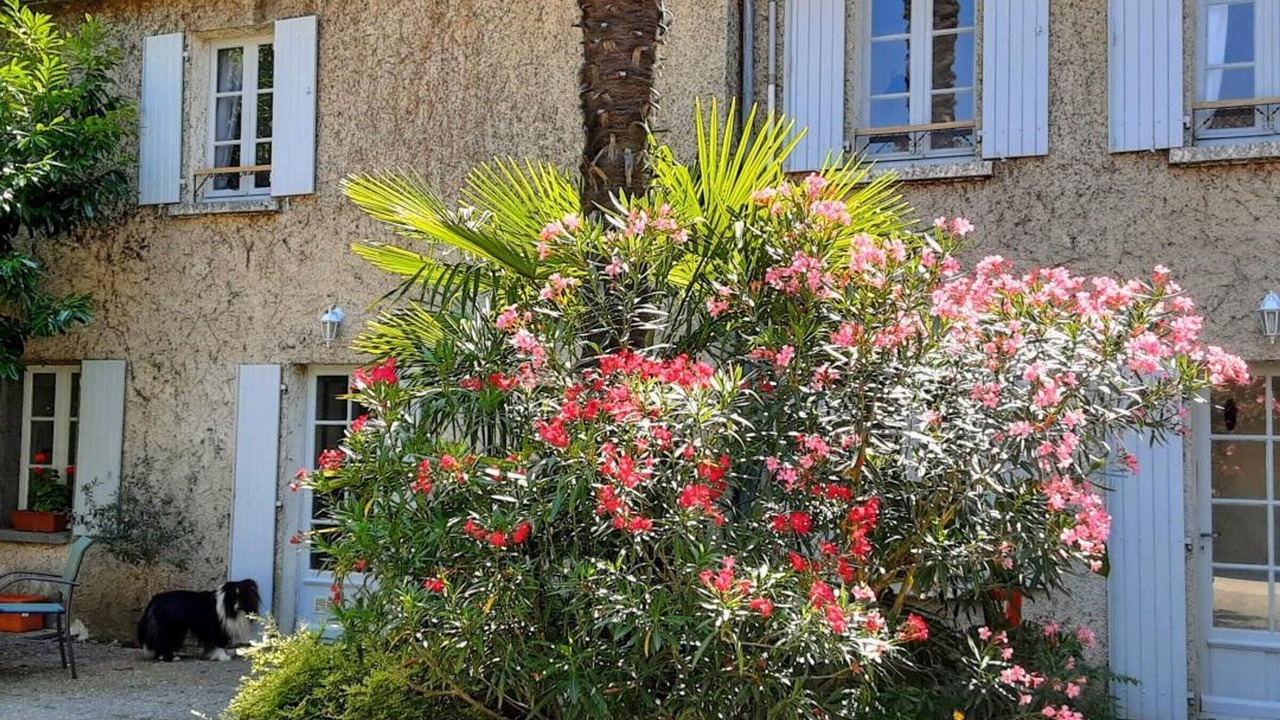 Photo of Outdoor in Chateauneuf-sur-Charente