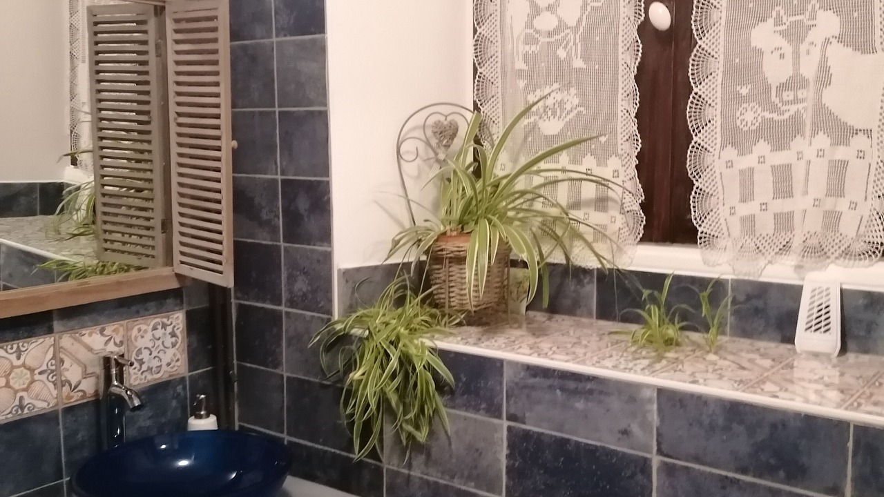 Photo of Bathroom in La Roche-Posay