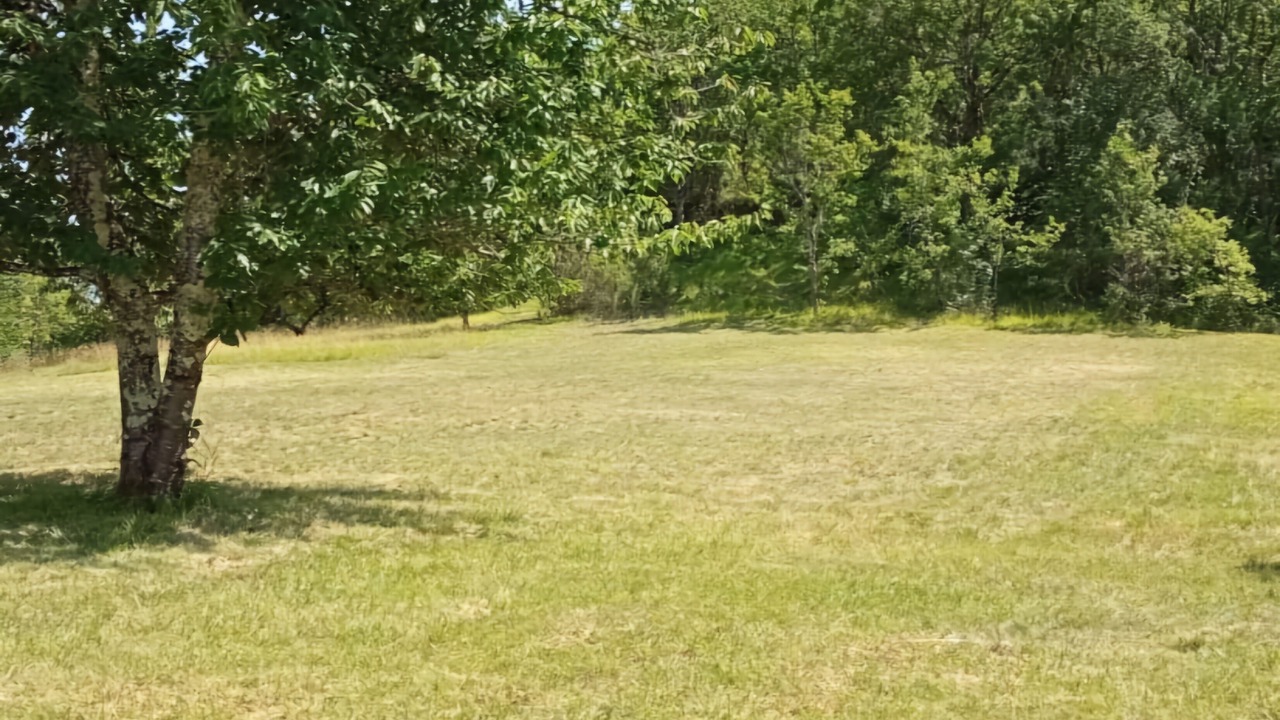 Photo of Others in Cauzac