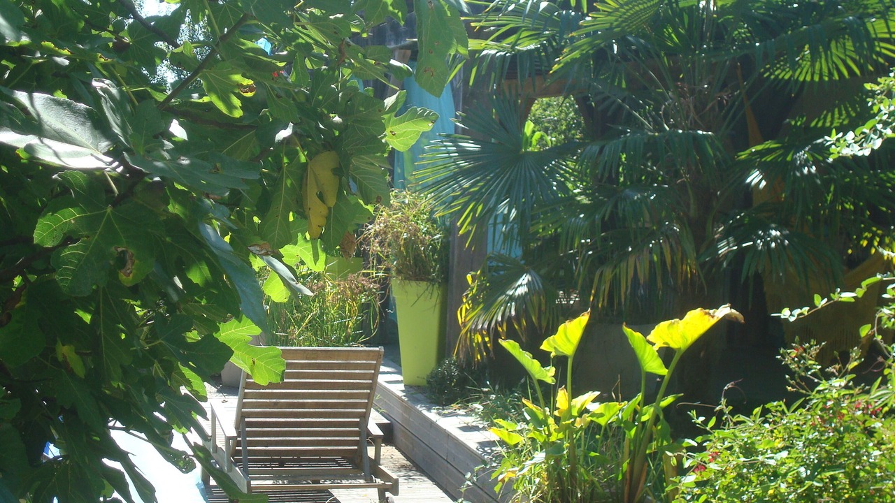 Photo of Patio Balcony in Lacquy