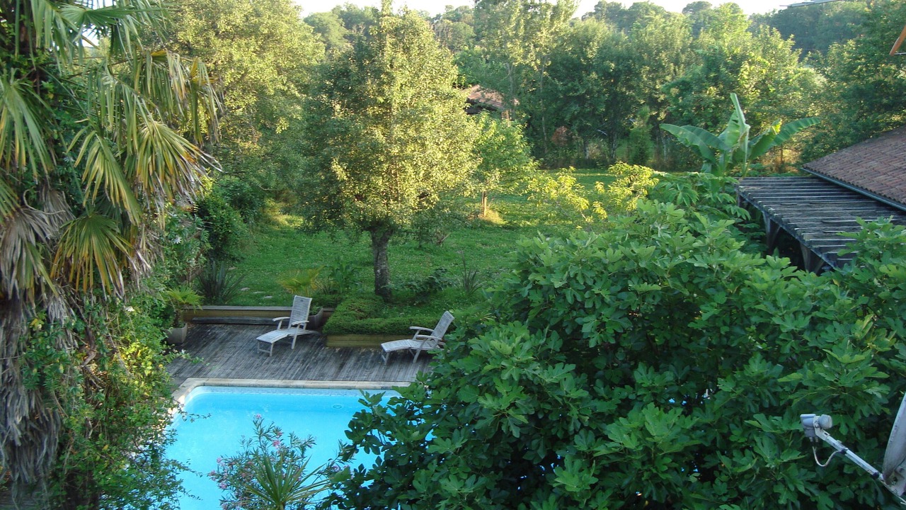 Photo of Outdoor in Lacquy