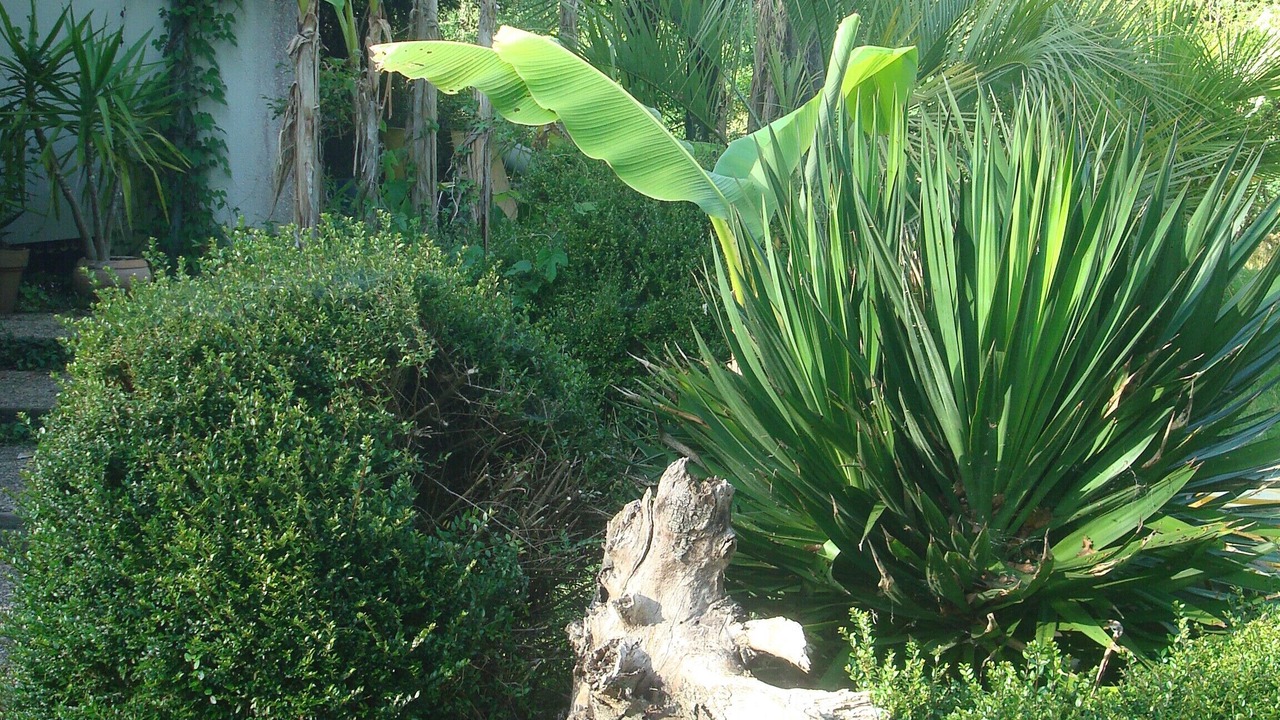 Photo of Outdoor in Lacquy