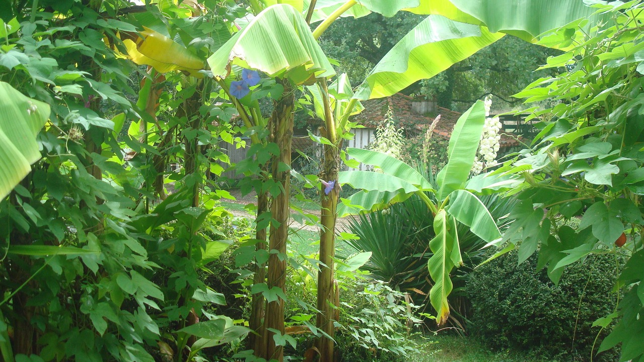 Photo of Outdoor in Lacquy