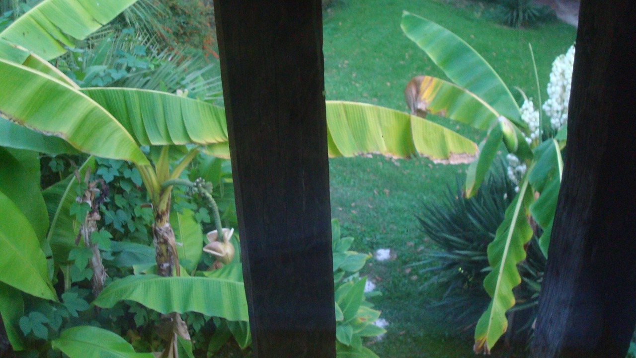 Photo of Outdoor in Lacquy