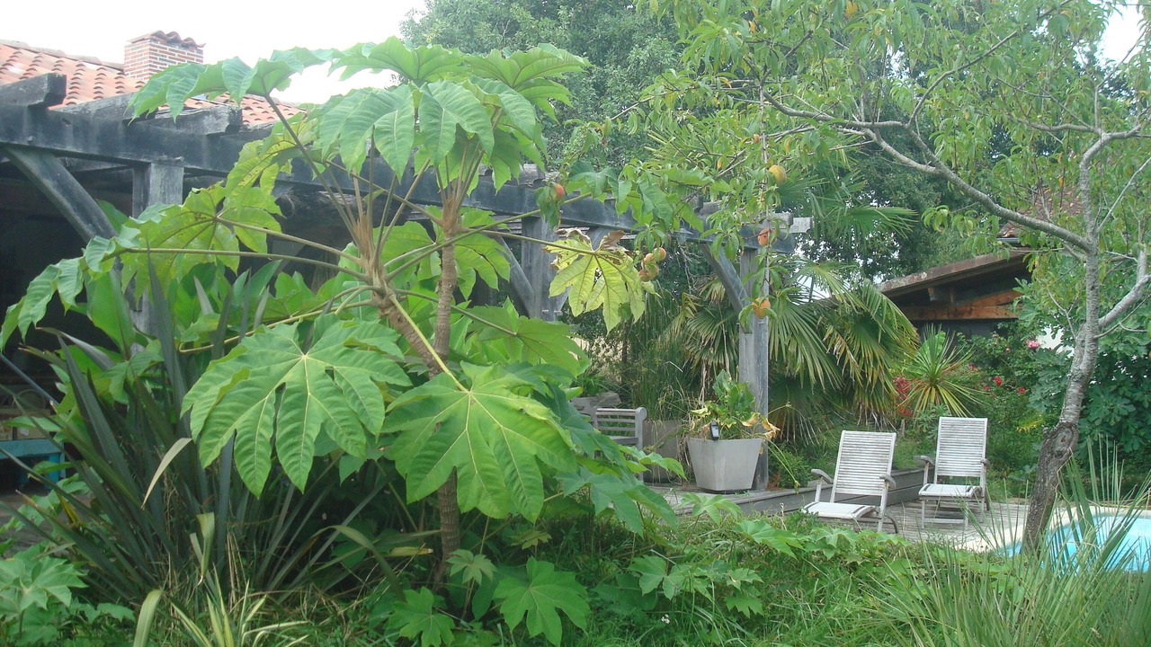 Photo of Outdoor in Lacquy