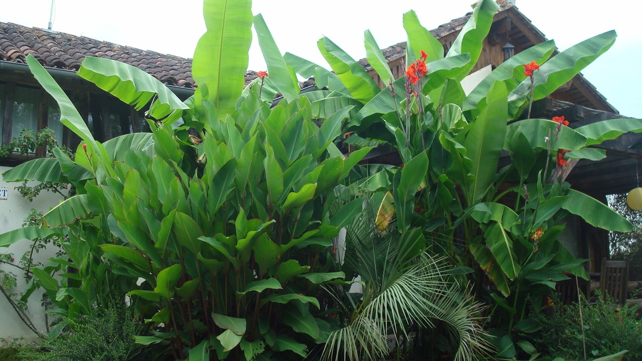 Photo of Outdoor in Lacquy
