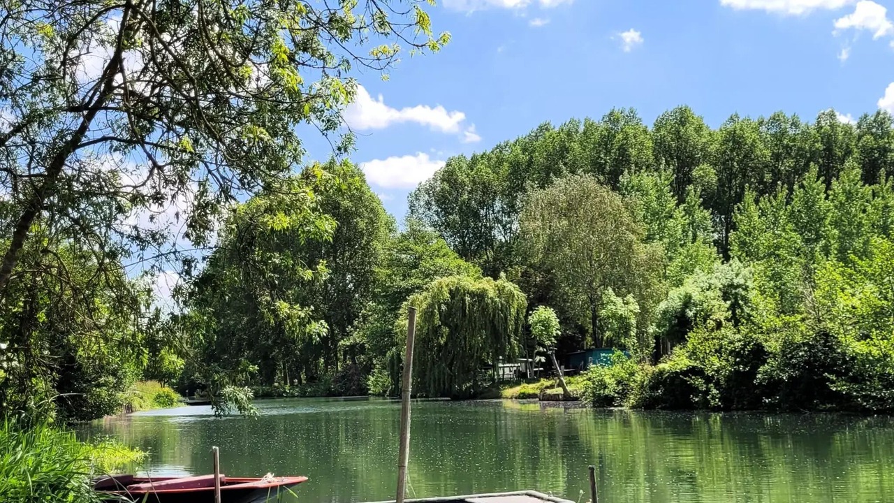 Photo of Others in Coulon