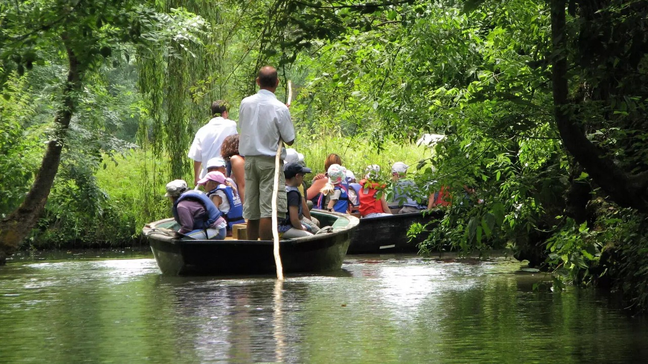 Photo of Others in Coulon