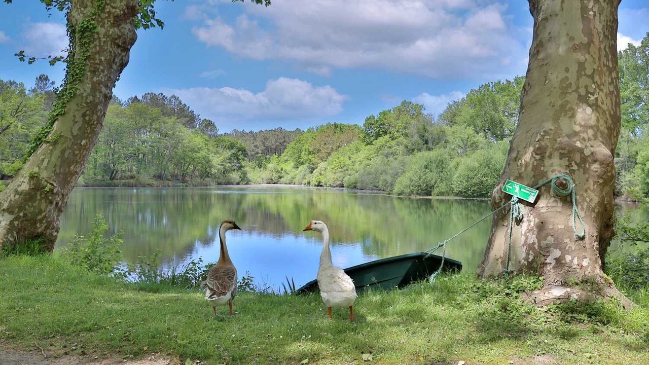 Photo of Outdoor in Saint-Paul-les-Dax