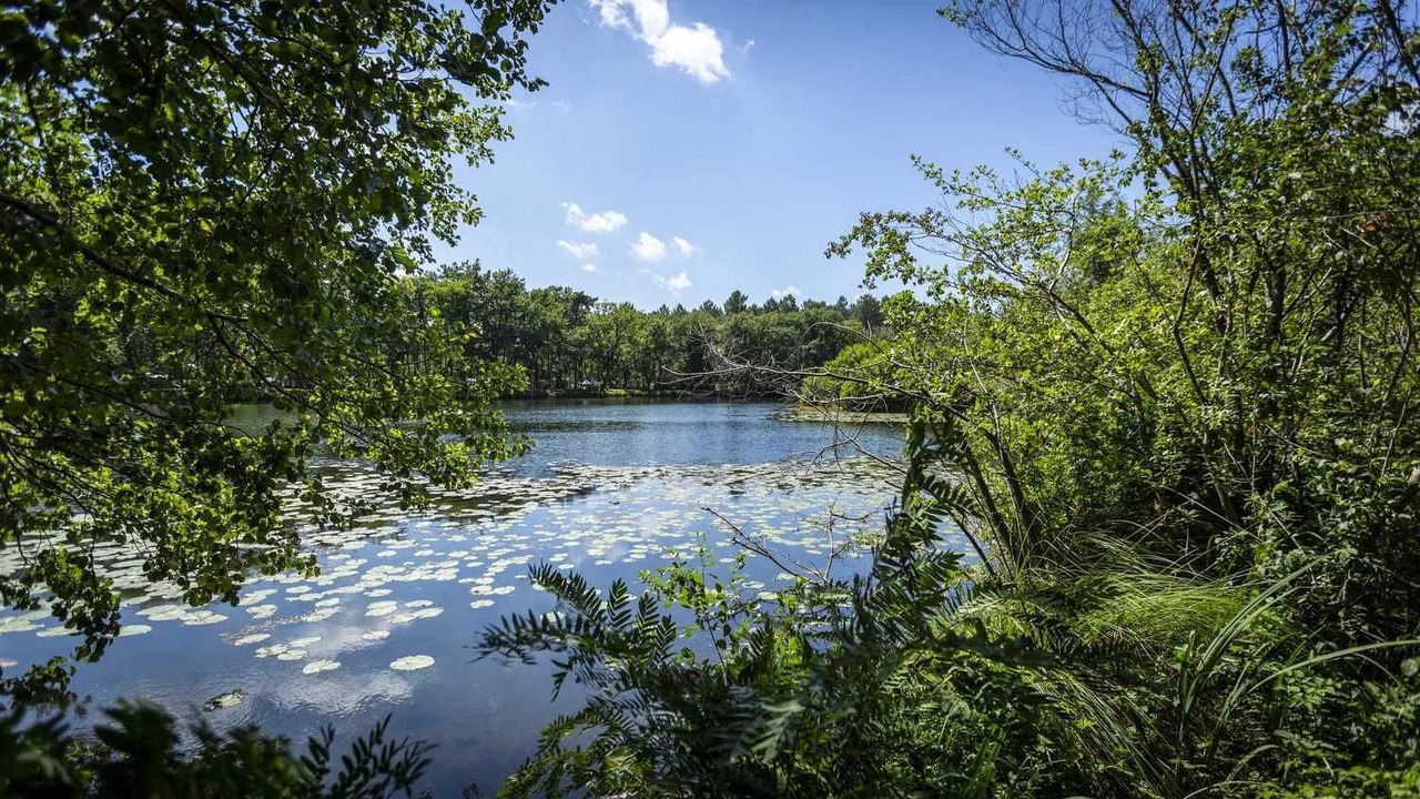 Photo of Outdoor in Saint-Paul-les-Dax