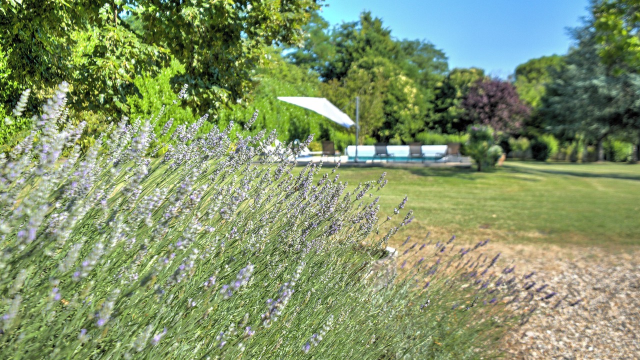 Photo of Outdoor in Riberac